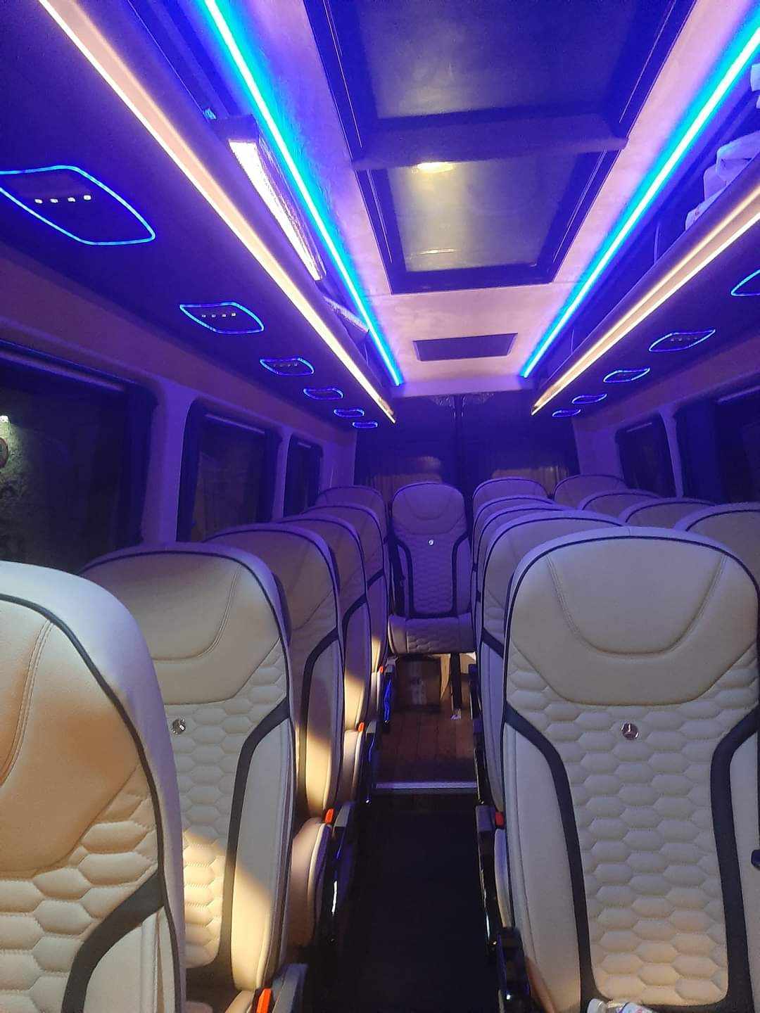 bus